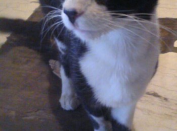 1229936917119968190219643789097018168623553n