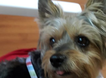 2bc3810c23b12242a0a6d021f813c459img20190321wa0007