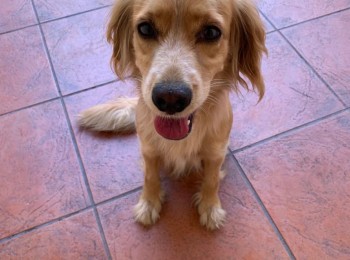 44c4a9fa848a436088354499ebd139eb