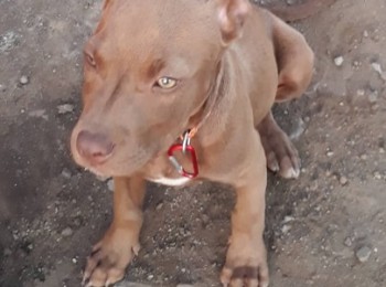 537992925900438581298892491000531107971072n