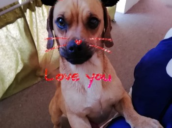 5413ed3b42b134b4c28a9851fcd03180img-20180729-wa0003