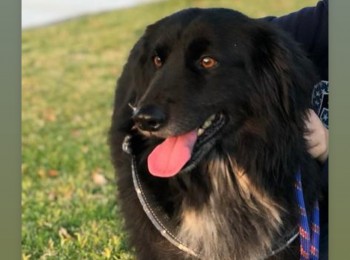 6f60397669324c33a3e31ed4c822c5ee