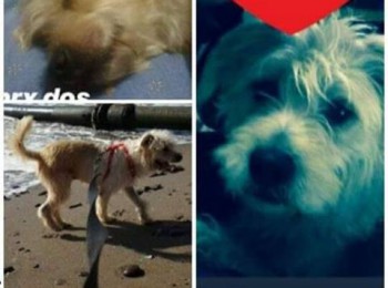 7bdc7c9981ebc887a6ff3b86b3942bec37926749102163521392129978387777800001552384n