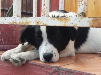 7cb0c64822e9adb5abc79c6699d9b208whatsappimage2018-08-04at155954