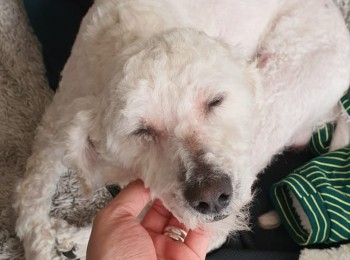 8f9cf6bf01cb28e7fd387972472306abimg20210812wa0024