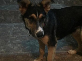 a9f3e32c-b3b6-4761-8dda-3e88097de883