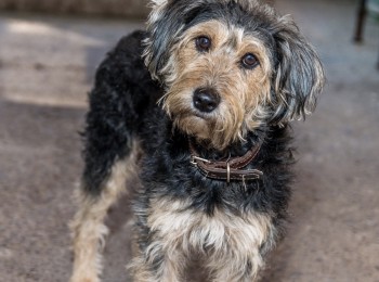 beba241f2c2e4aaf93a67c8b7650d66d