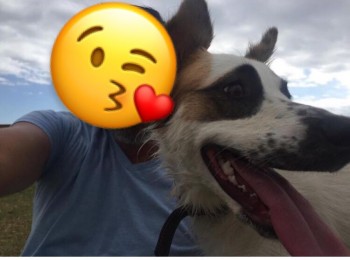 c20b863e24474f68890aec93b641a676