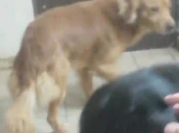 d02ae53a4d833bdafea1c60094dc5bb42