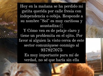 img20210308113222672