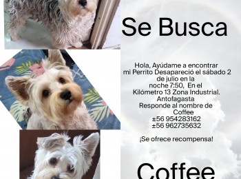 img20220705150111937