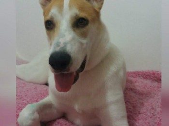 photogrid1555191383403