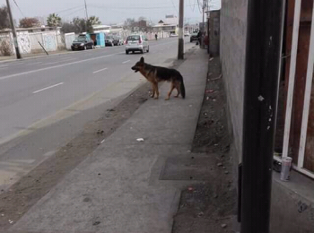 screenshot20180728-233508