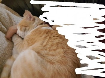 screenshot20211205215341instagram