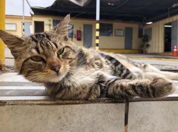 whatsappimage2018-11-22at083908