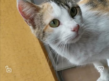 whatsappimage20200825at100351