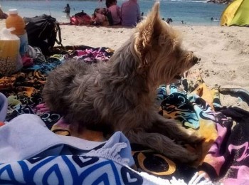 whatsappimage20210128at1830461