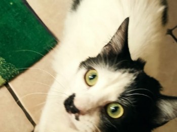 whatsappimage20210424at15555pm1