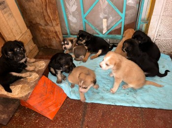 whatsappimage20230918at191513